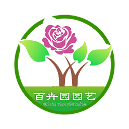 成都植物租赁公司_成都绿植租摆价格明细表_办公室盆栽花卉出租-成都百卉园园艺有限责任公司