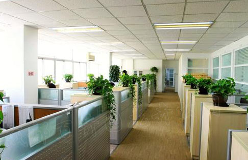 办公室植物租赁 