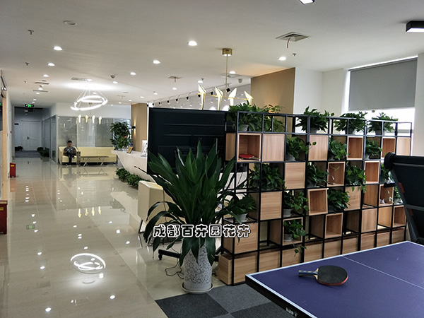 网游科技公司成都办公室植物租赁案例及设计摆放方案