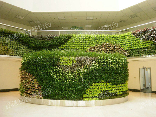 成都植物墙装饰设计