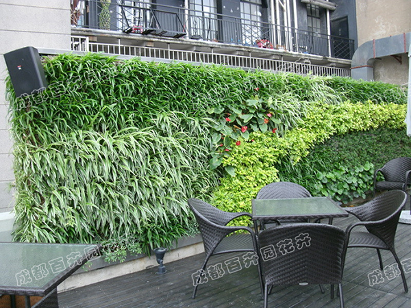 室外植物墙设计案例