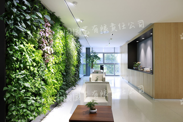 某公司成都办公室植物墙设计案例