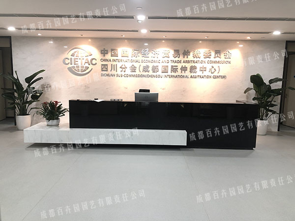 中国国际经济贸易仲裁委员会成都办公室植物租摆案例效果图