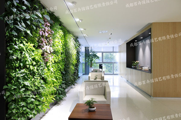写字楼办公室植物墙设计案例效果图