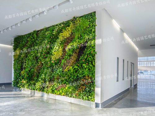 立体绿植墙设计方案与效果图