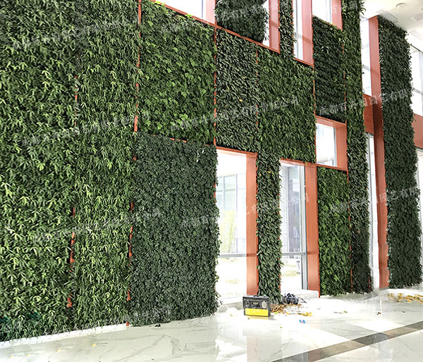 垂直绿化设计植物墙制作效果图