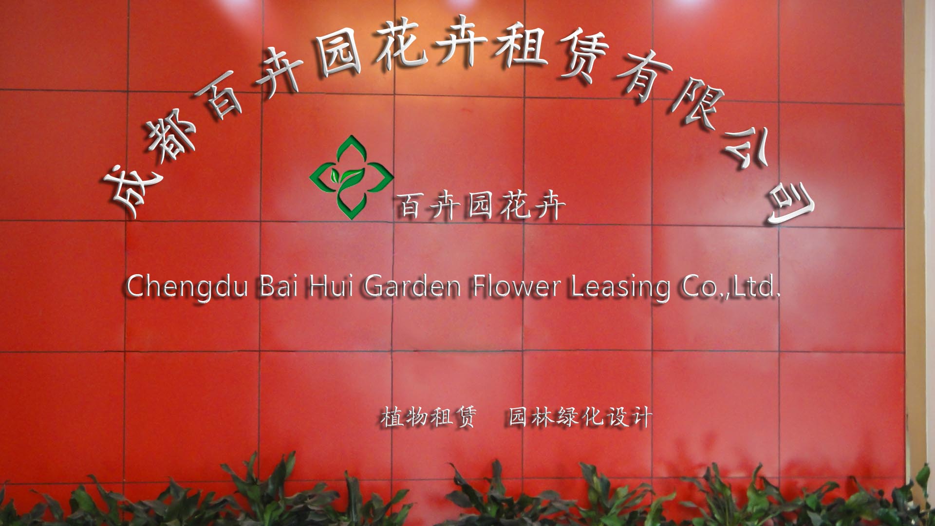 成都百卉园花卉租赁有限公司 成都盆栽植物租赁公司,办公室植物租摆,花卉租摆,室内绿植租赁,盆景鲜花出租-成都百卉园花卉租赁有限公司