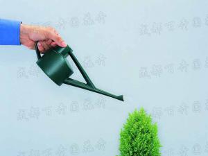 成都植物租摆中的植物花卉用温水浇有哪些好处？