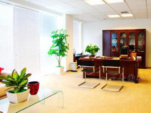 成都植物租摆根据植物习性设计植物摆放