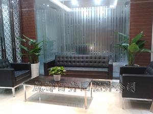 成都植物租赁分解室内摆花有讲究