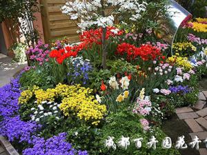 成都花卉租赁_运气跟室内花卉有关