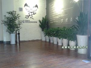 成都花卉租赁中花卉品种有哪些,电话028-87798757