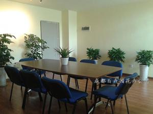 植物租赁中盆栽绿萝(黄金葛)对室内环境的作用？