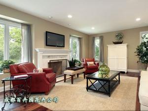 家庭盆栽花卉租赁、家庭花卉租摆方案