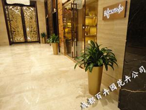 酒店植物租赁、酒店植物租摆方案