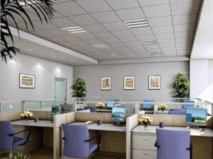 成都花卉租赁公司如何利用植物与办公环境的搭配