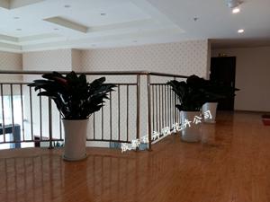 成都租花公司浅谈花卉“吃醋”与病害的防治