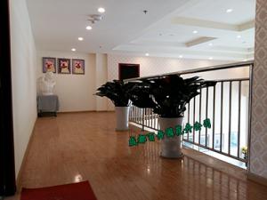 成都盆栽植物租赁公司提供的植物租赁方案及报价