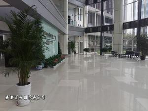 办公室租盆栽植物花卉就找成都盆栽植物租赁公司