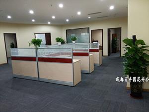 不同的花卉植物摆放不同的环境该如何浇水