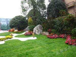 成都园林绿化公司分享绿化施工中反季节种植技术