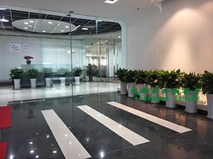 成都盆栽植物租赁多少钱,花卉租摆价格,绿植出租单价