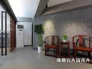 成都植物租赁有哪些流程及注意点？