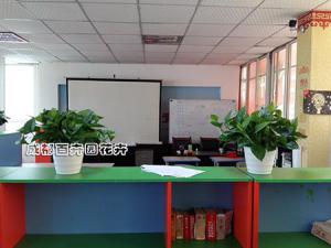 成都绿植租摆中的绿萝营养土配制方法