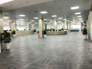 办公楼各办公室的绿植租摆方案