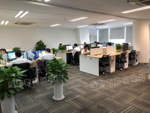 办公室摆放植物养不活，植物租赁公司是怎么养护的？