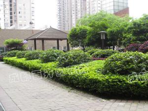 成都园林绿化养护管理包括哪些内容？