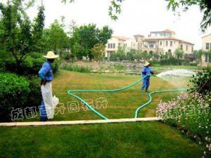 小区绿化养护管理中存在问题和对策