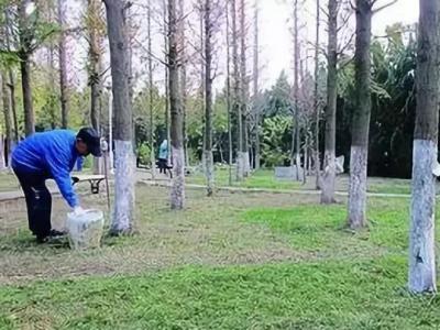 成都园林绿化养护中园林植物的养护管理措施