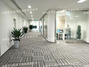 成都植物租赁服务具有高性价比的优势