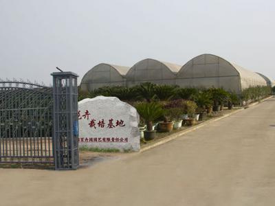 。我们用专业与匠心，让绿色融入您的工作与生