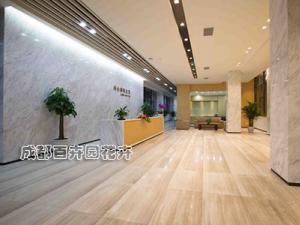 办公室盆栽植物租摆案例