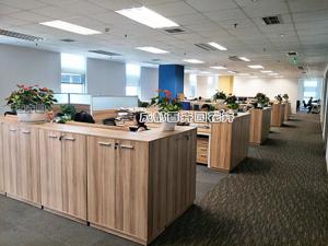 成都办公室花卉绿植租摆案例与设计方案