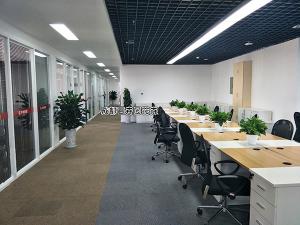 成都某公司办公室植物租赁方案及摆放案例