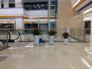 成都某商场植物租赁案例及方案设计图