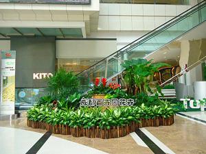 商场花卉绿植租赁组合方案及摆放案例