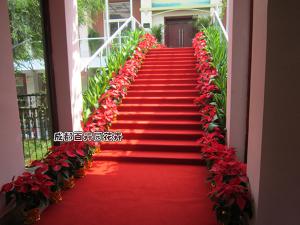 某星级酒楼走道花卉租赁方案及摆放案例