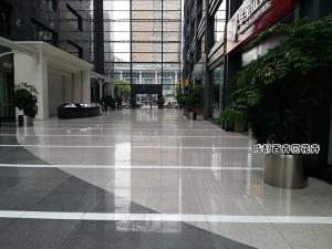 某写字楼植物租摆案例及设计方案