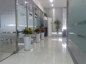 某公司成都办公室植物租赁方案及租摆案例