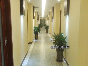 某公司成都植物租赁方案及租摆案例 