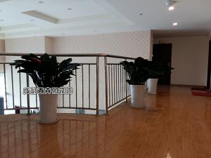 某学校绿植租赁方案及租摆案例