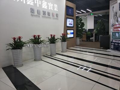 某教育公司成都办公室绿植租摆方案及摆放案例