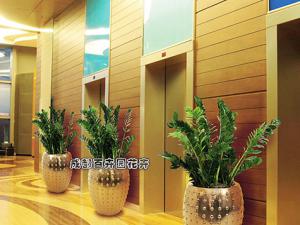 酒店绿植租摆案例及设计摆放方案