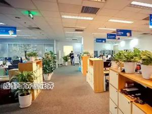 某服务公司成都办公室花卉植物租摆案例