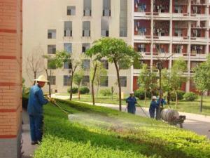  成都某学校绿化养护管理事项