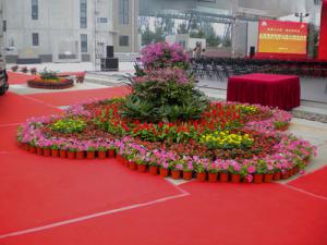 成都节日庆典花草绿植租摆组景造型